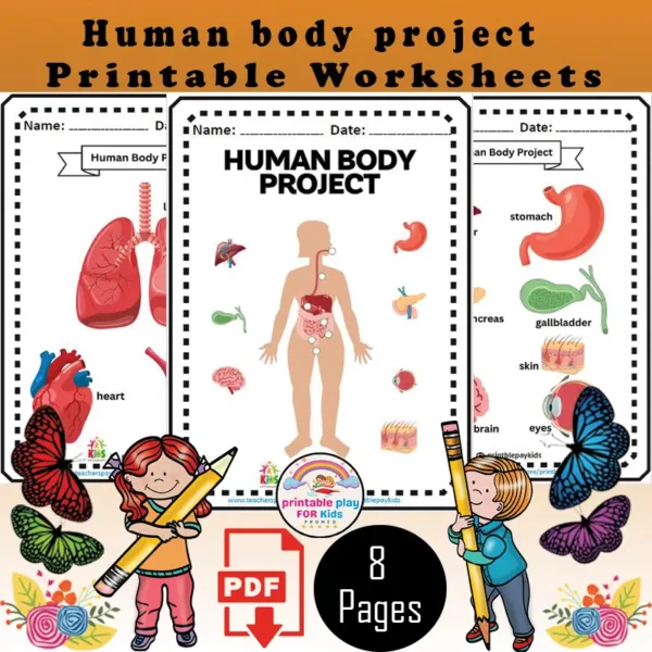 Human Body