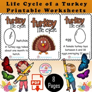 Cycle of a Turkey