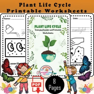 Plant Life Cycle